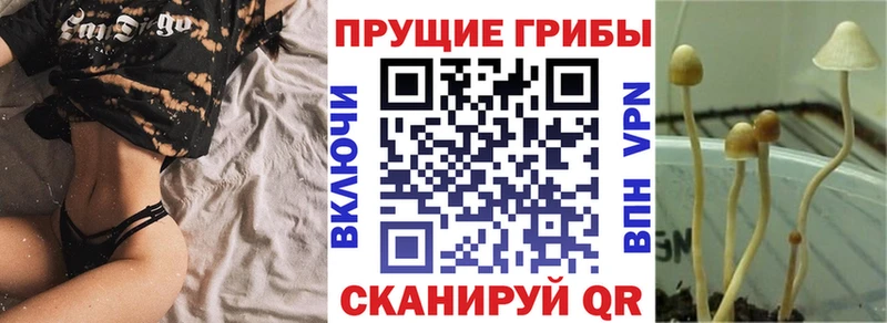 MEGA онион  где купить наркотик  Стрежевой  Псилоцибиновые грибы ЛСД 