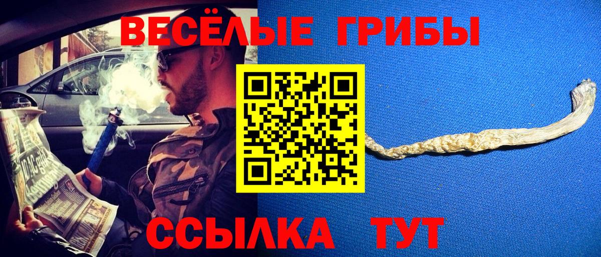 Галлюциногенные грибы мицелий  Вход с VPN  Стрежевой 