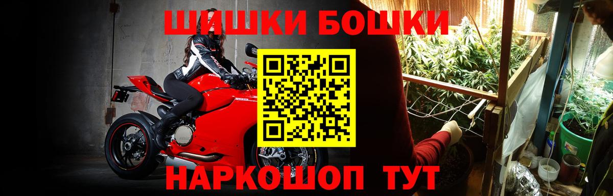 Бошки Шишки гибрид Стрежевой